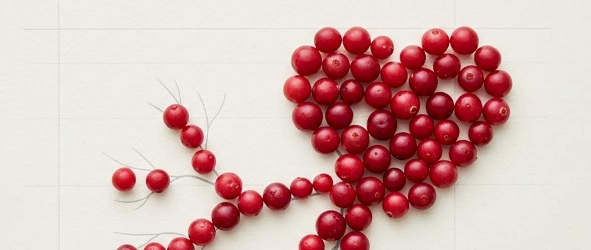 vörösáfolya szív