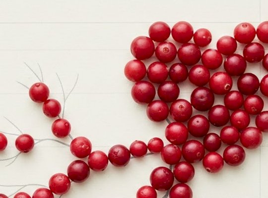 vörösáfolya szív